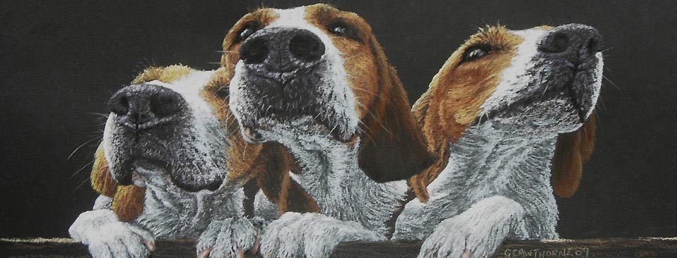 Curiosity – pastel painting of hounds