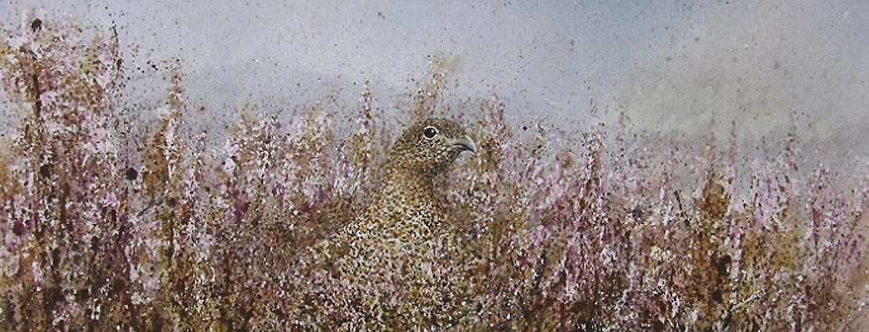 Red Grouse Hen watercolour portrait