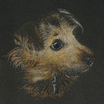 Bunty