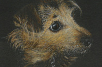 Bunty