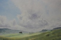 To the Distant Copse