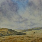Grouse Butts in Upper Teesdale