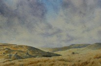 Grouse Butts in Upper Teesdale