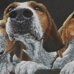 Curiosity – pastel painting of hounds