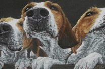 Curiosity – pastel painting of hounds