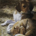 Siesta – pastel portrait