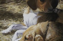 Siesta – pastel portrait