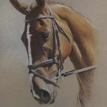 Sam – horse painting commission