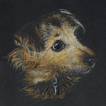 Bunty – Jack Russell Terrier dog painting portrait commission