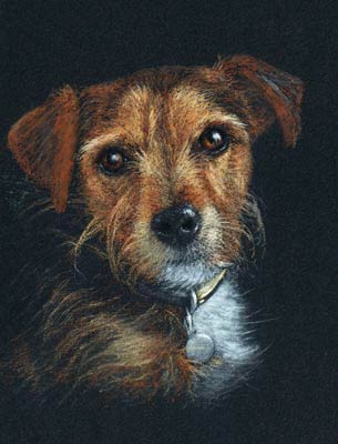 Freddie, Jack Russell Terrier dog pastel portrait painting