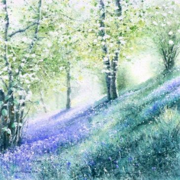 The Bluebell Wood