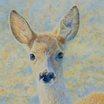 Roe Deer Doe, wildlife watercolour portrait painting