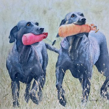 Black Labrador Retrievers watercolour painting