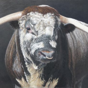 English Longhorn Bull farm animal painting in pastel