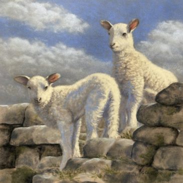 Painting of lambs “Great Escape” farm animals by Gillie Cawthorne