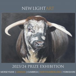 New Light Art Prize Exhibition flyer