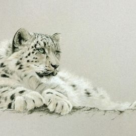 Snow Leopard painting